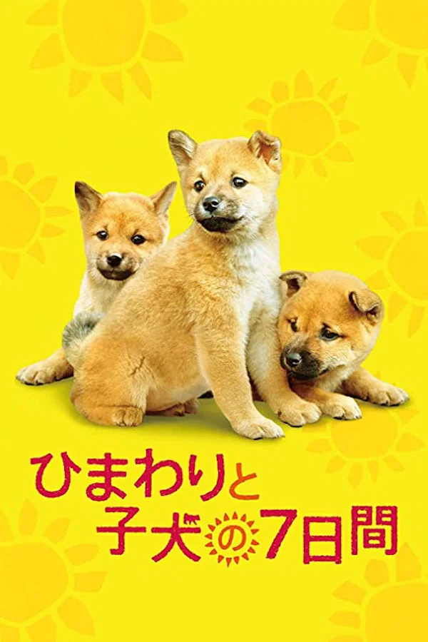 向日葵与幼犬的7天