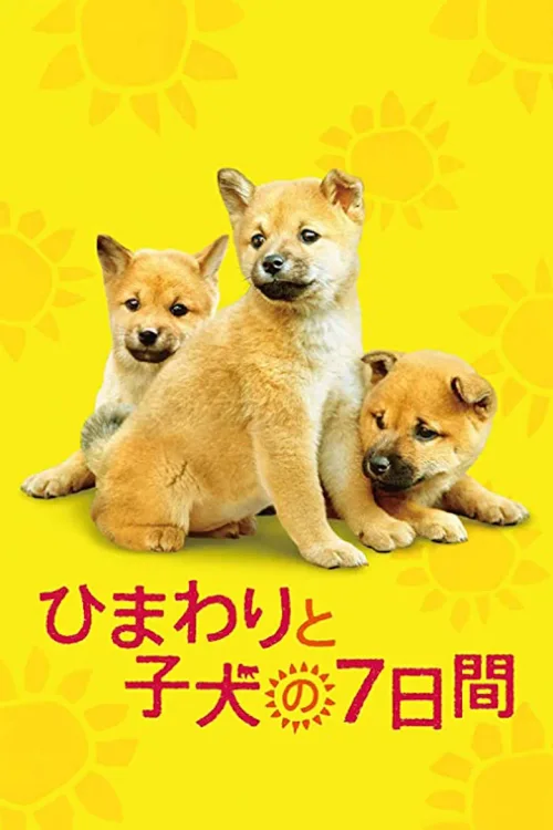 向日葵与幼犬的7天