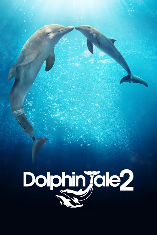海豚的故事2