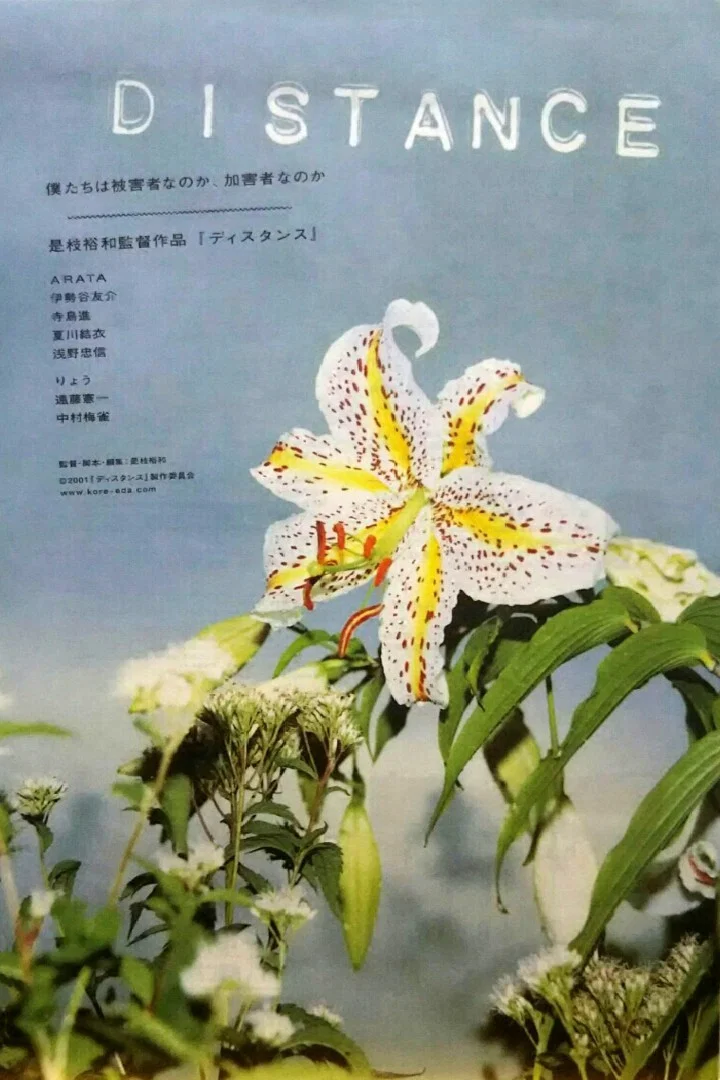 距离