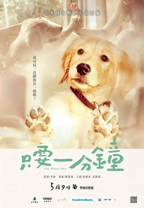 我的男友和狗