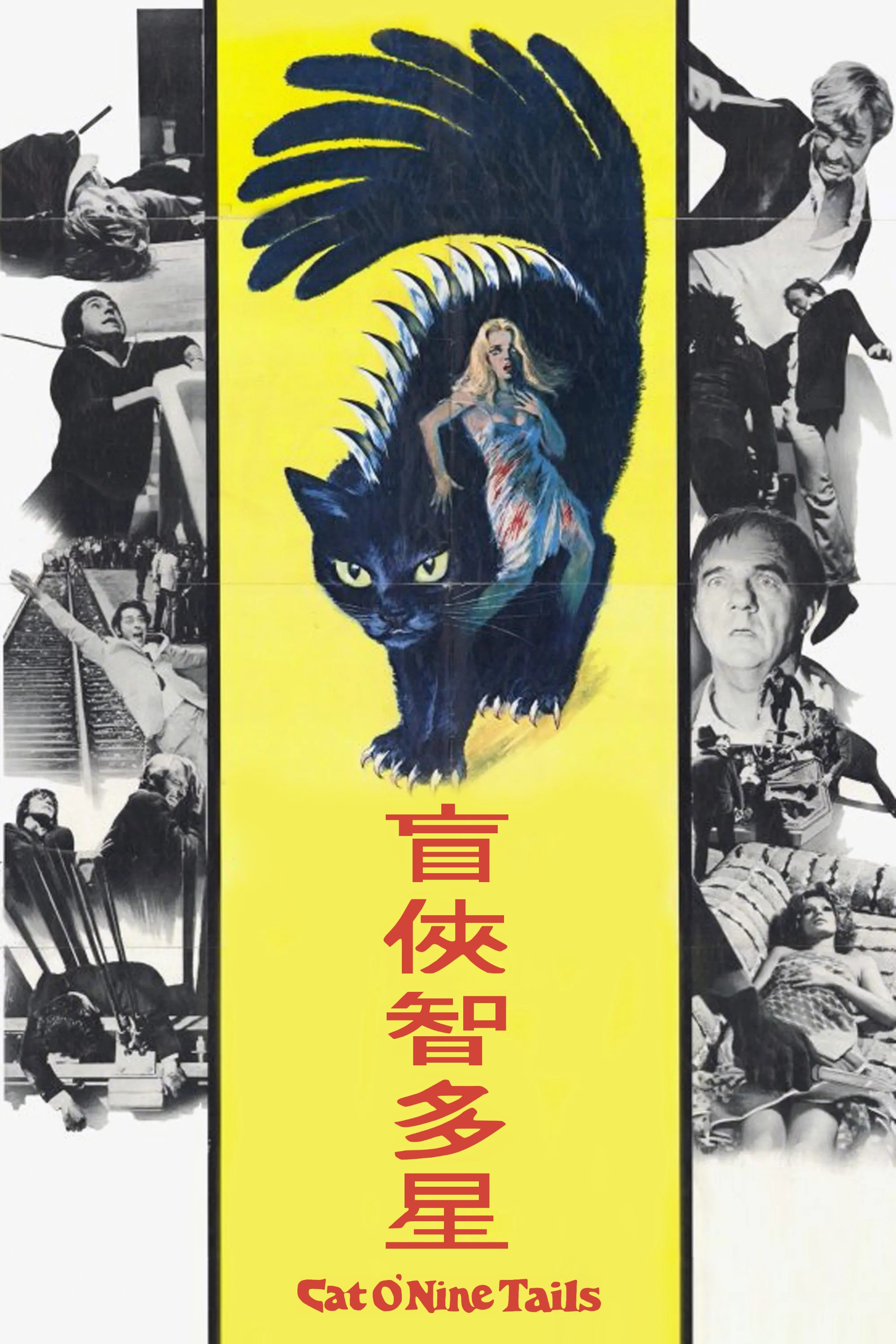 九尾怪猫