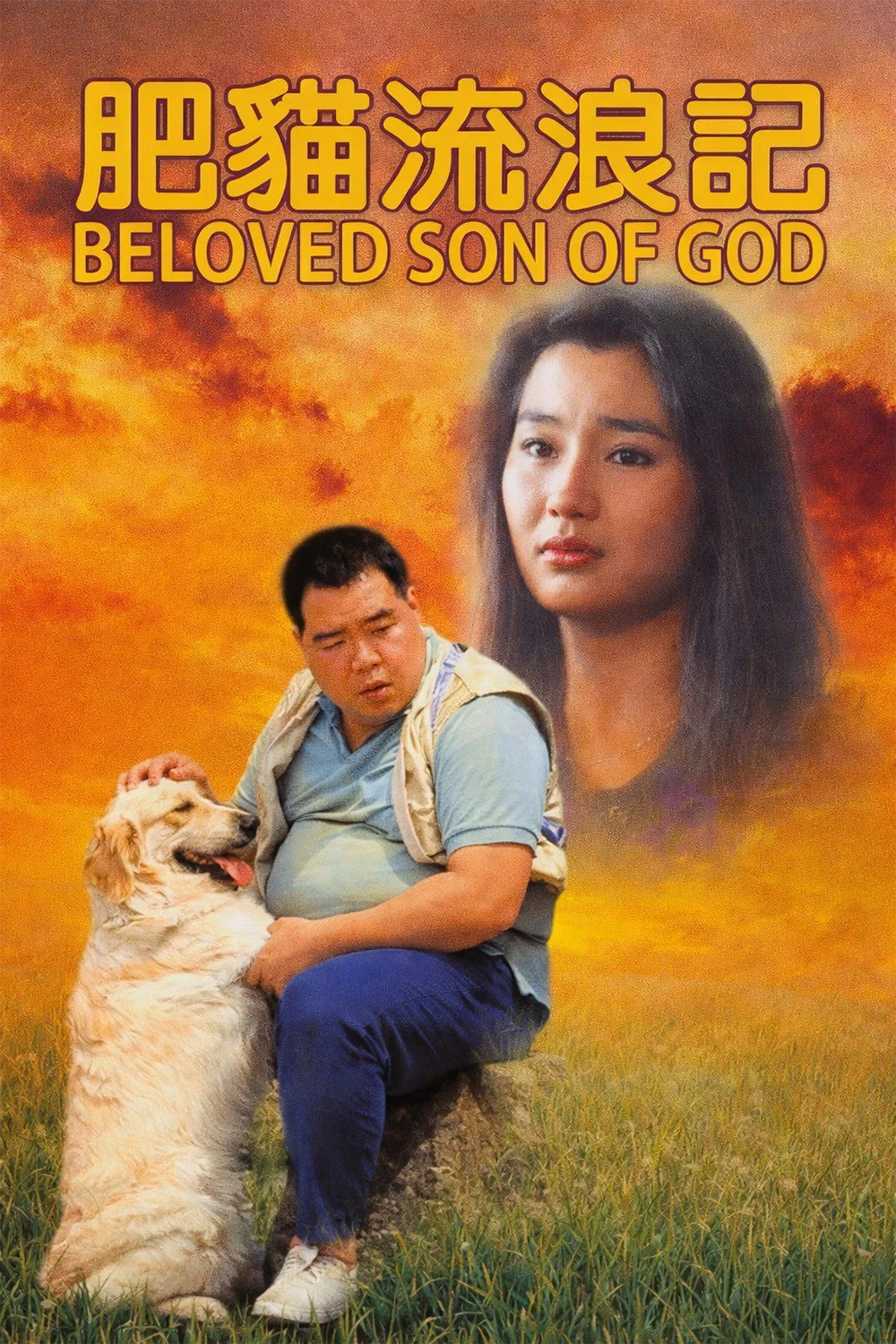 肥猫流浪记