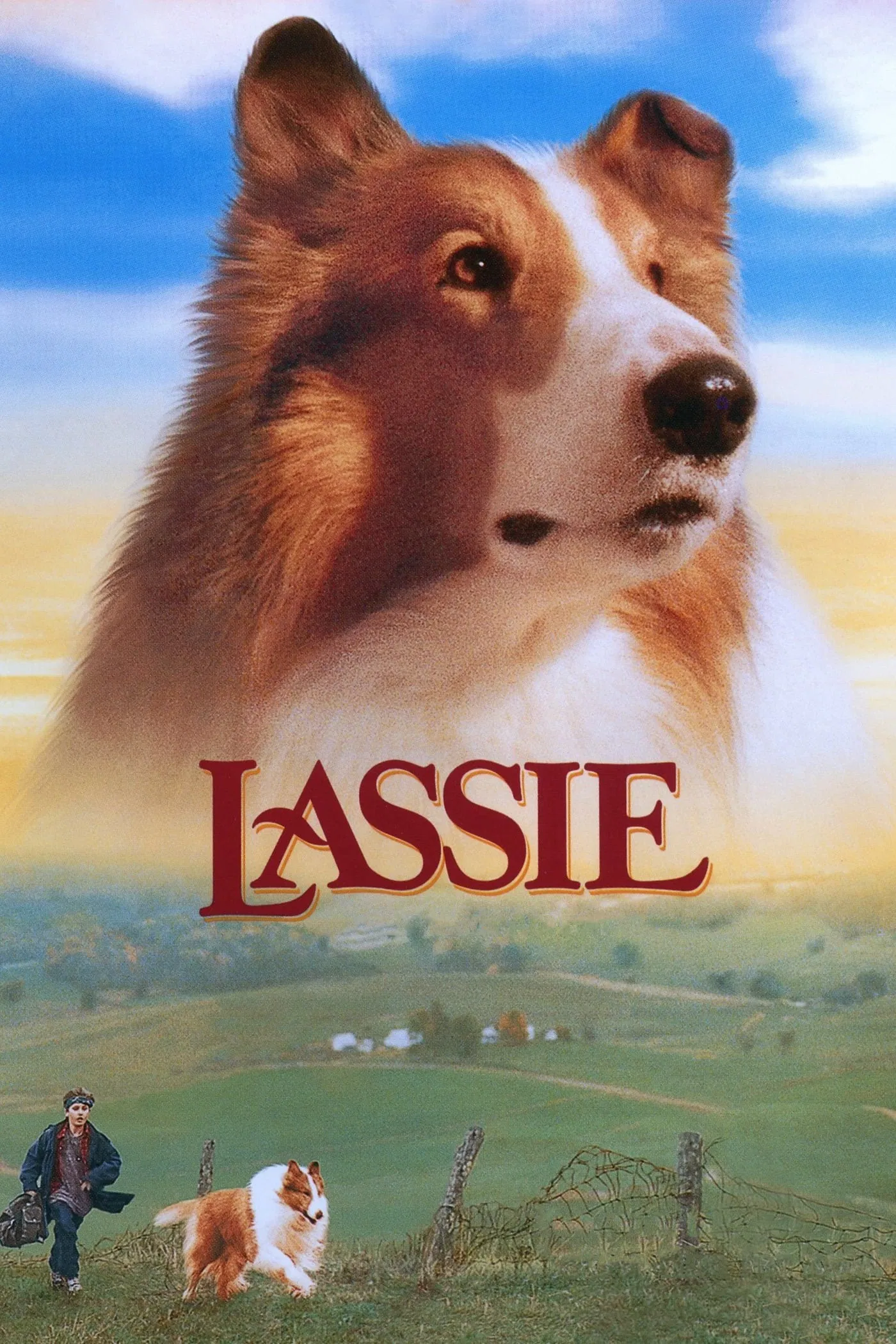 新灵犬莱西