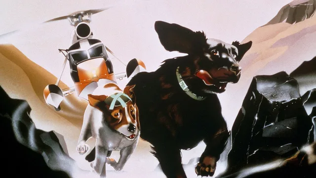 疫病犬 剧照 1
