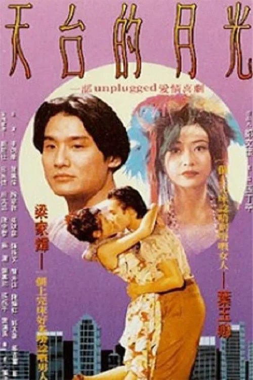 天台的月光‎