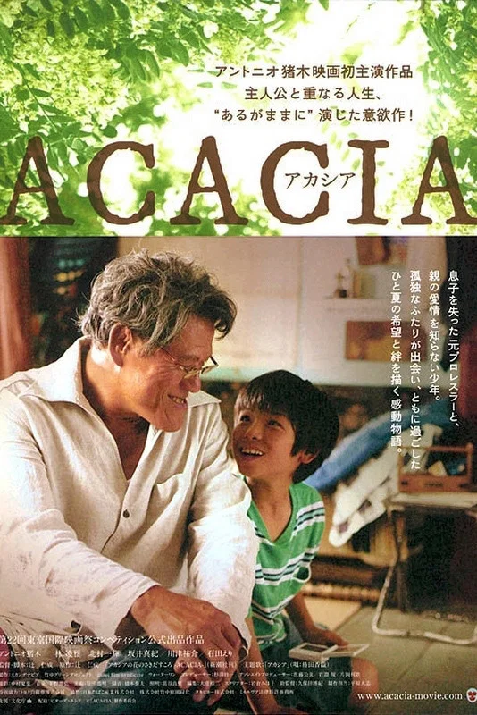 合欢开放之时