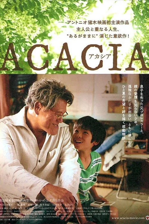 合欢开放之时