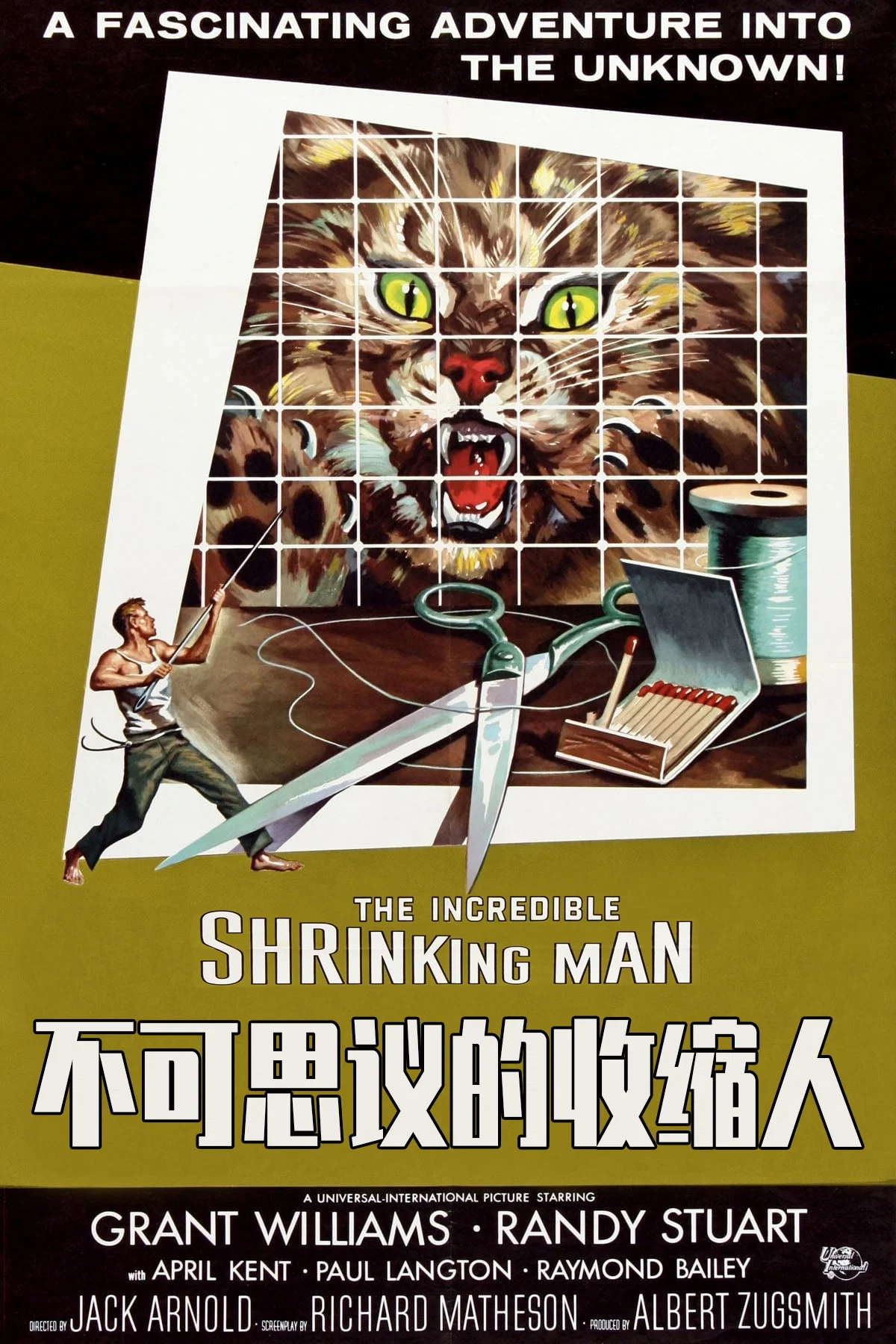 不可思议的收缩人