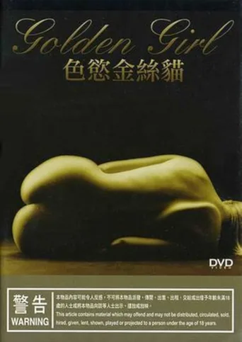 金丝猫