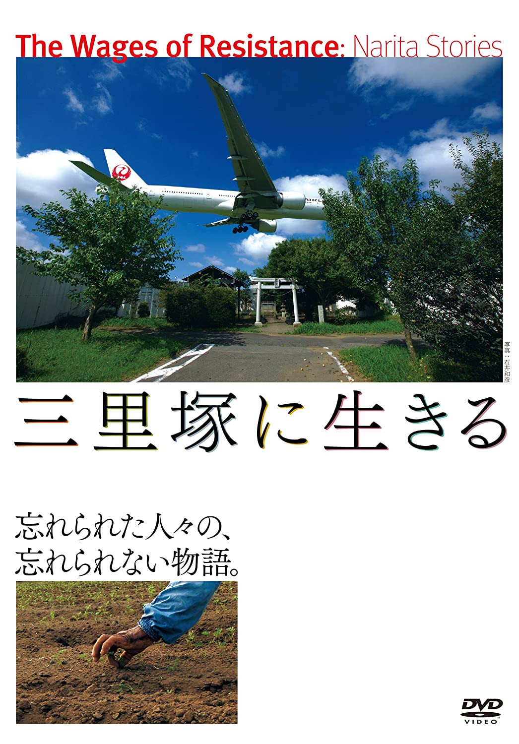 活在三里冢