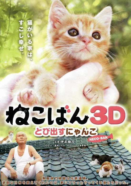 小猫跳出来3D