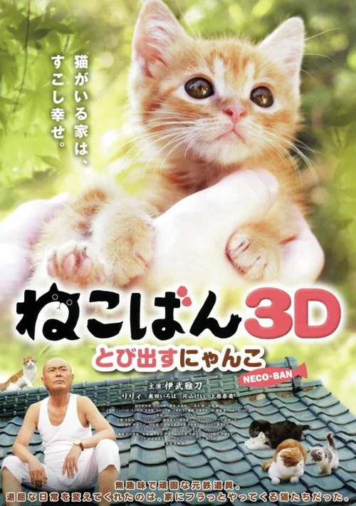 小猫跳出来3D
