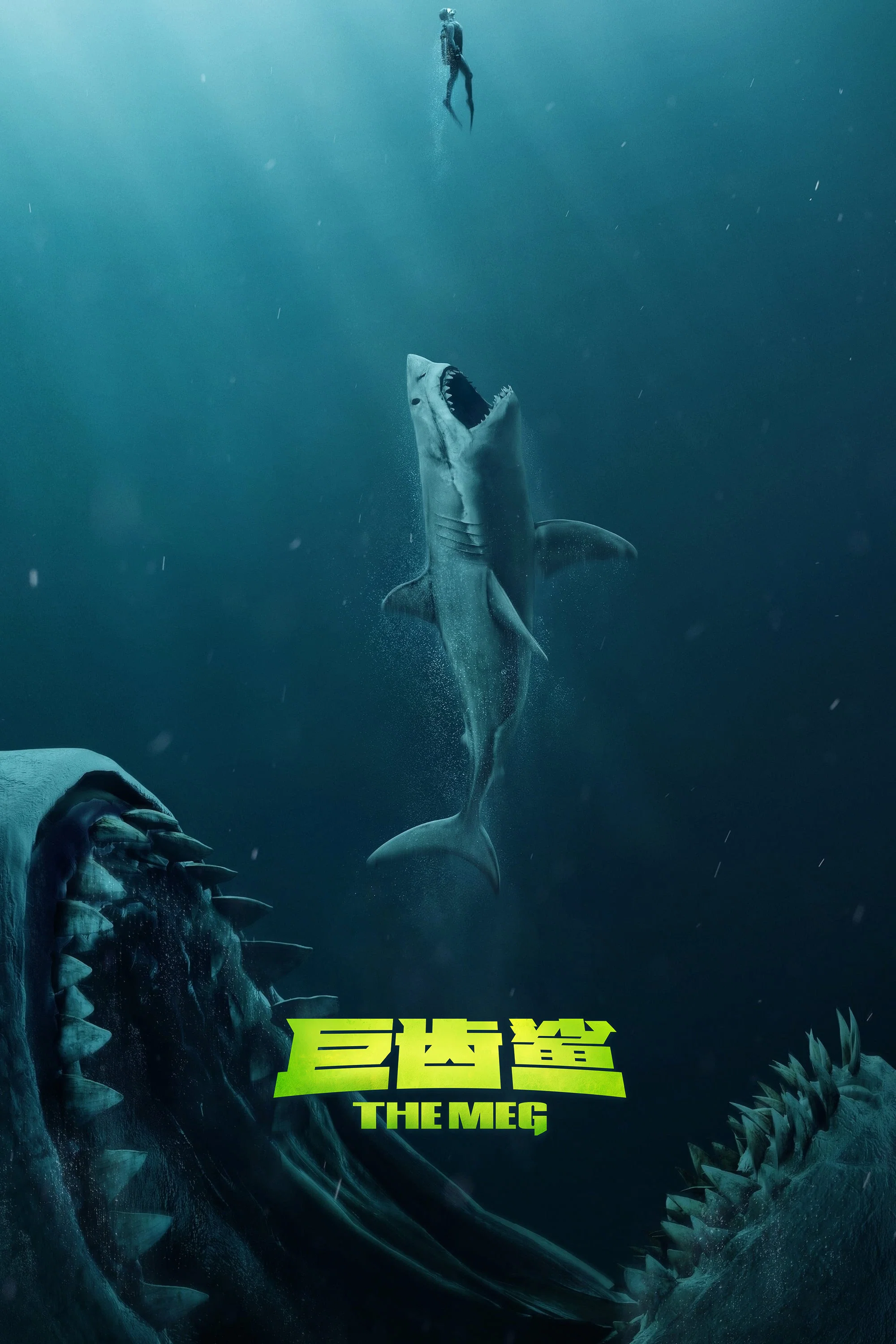 巨齿鲨