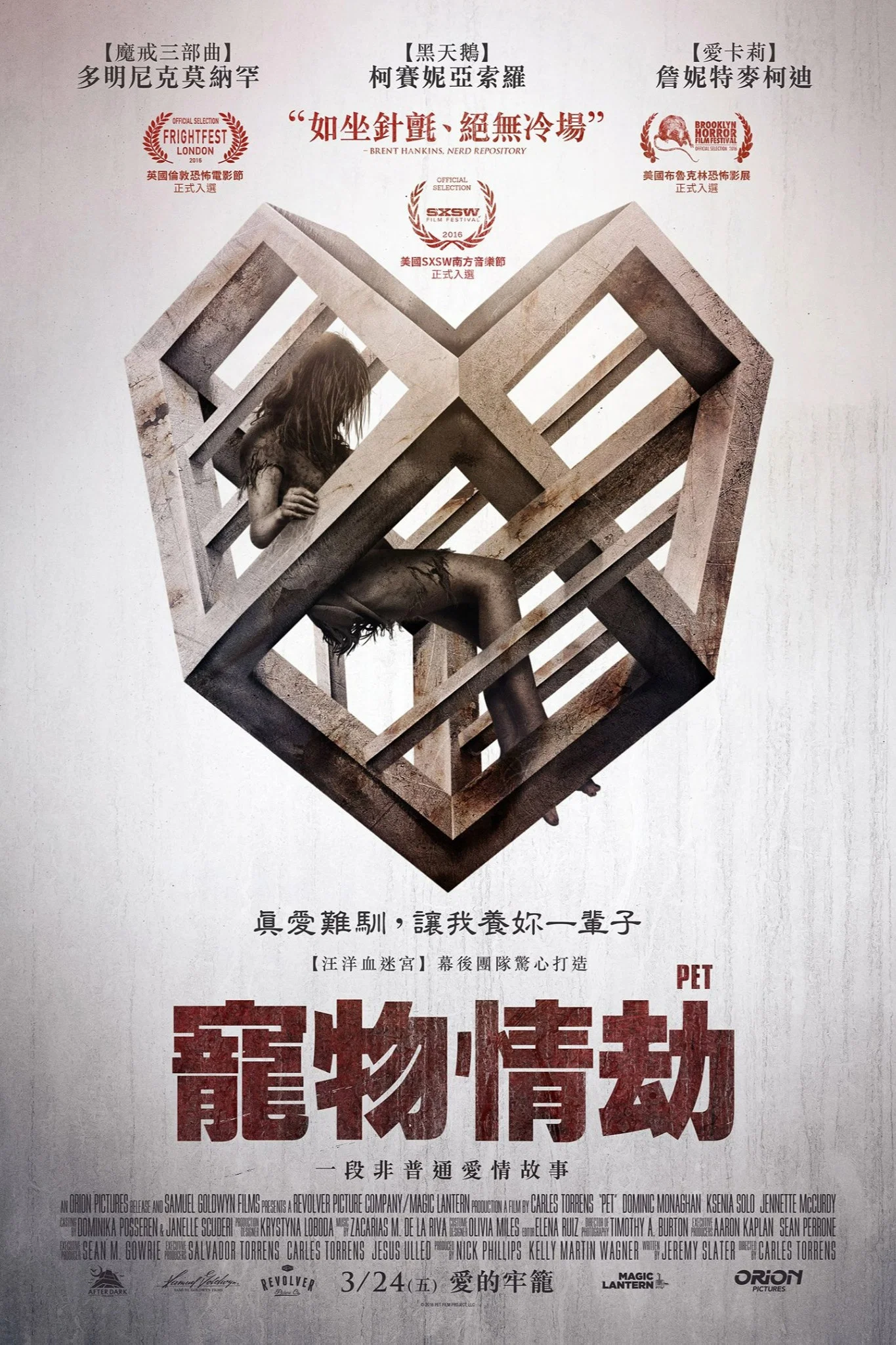 爱宠