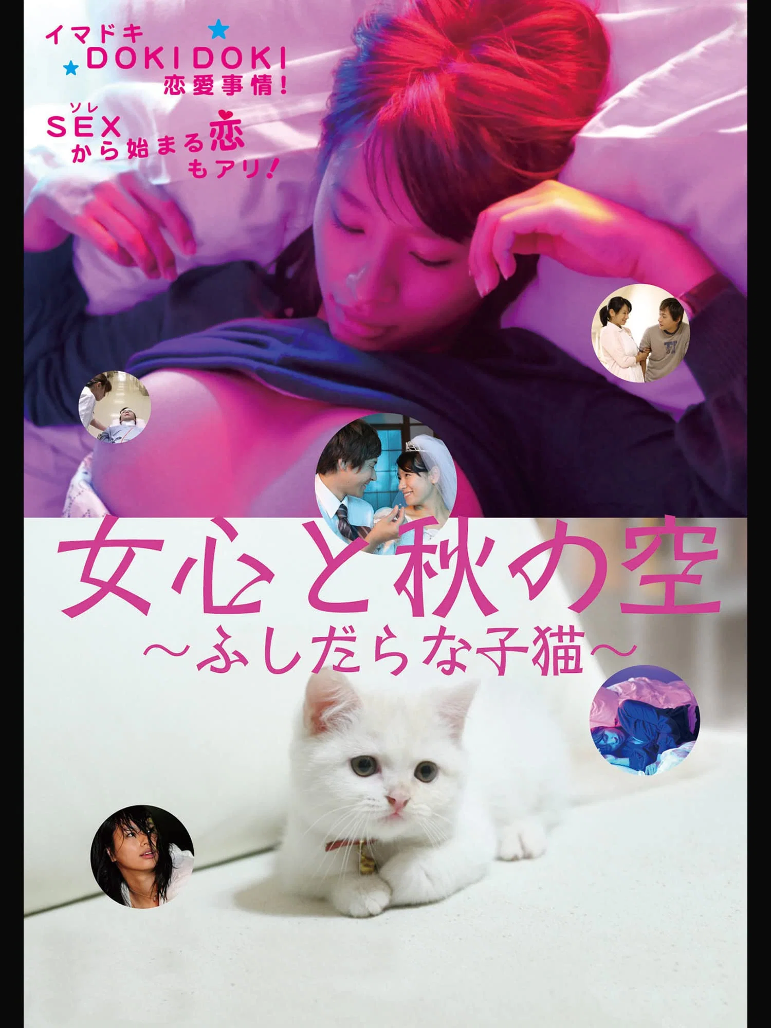 女人心思如秋空：放浪小猫