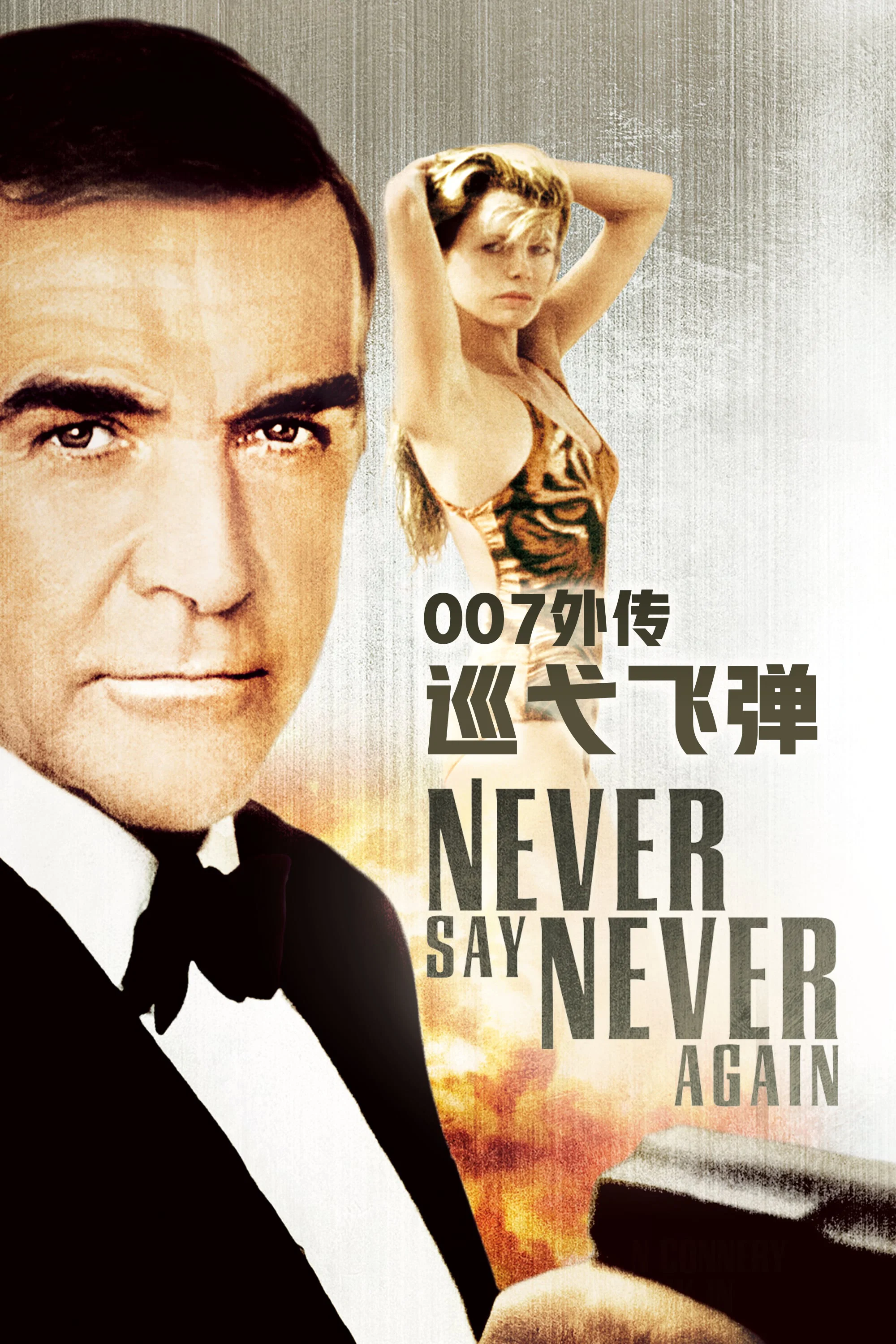 007外传之巡弋飞弹