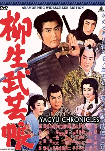 柳生武艺帐