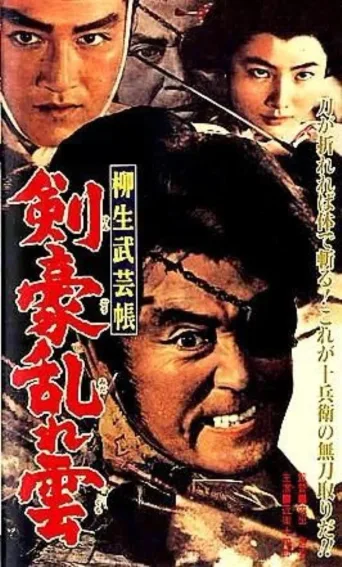 柳生武艺帐 剑豪乱云