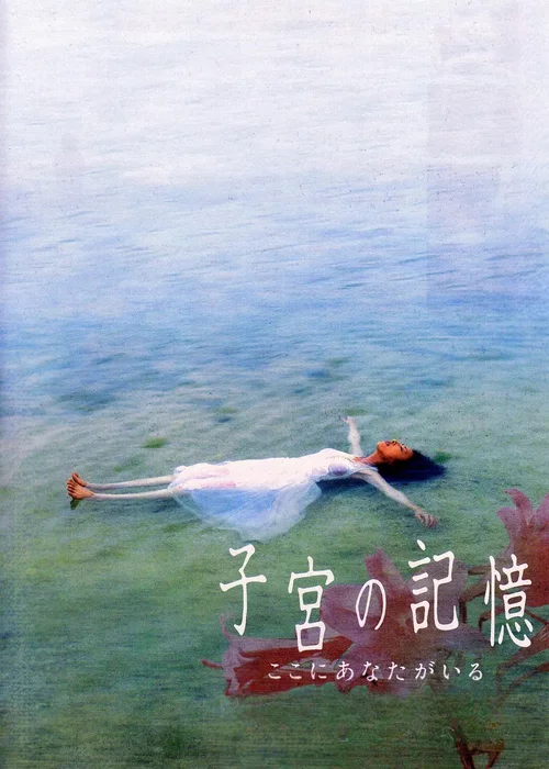 子宫的记忆