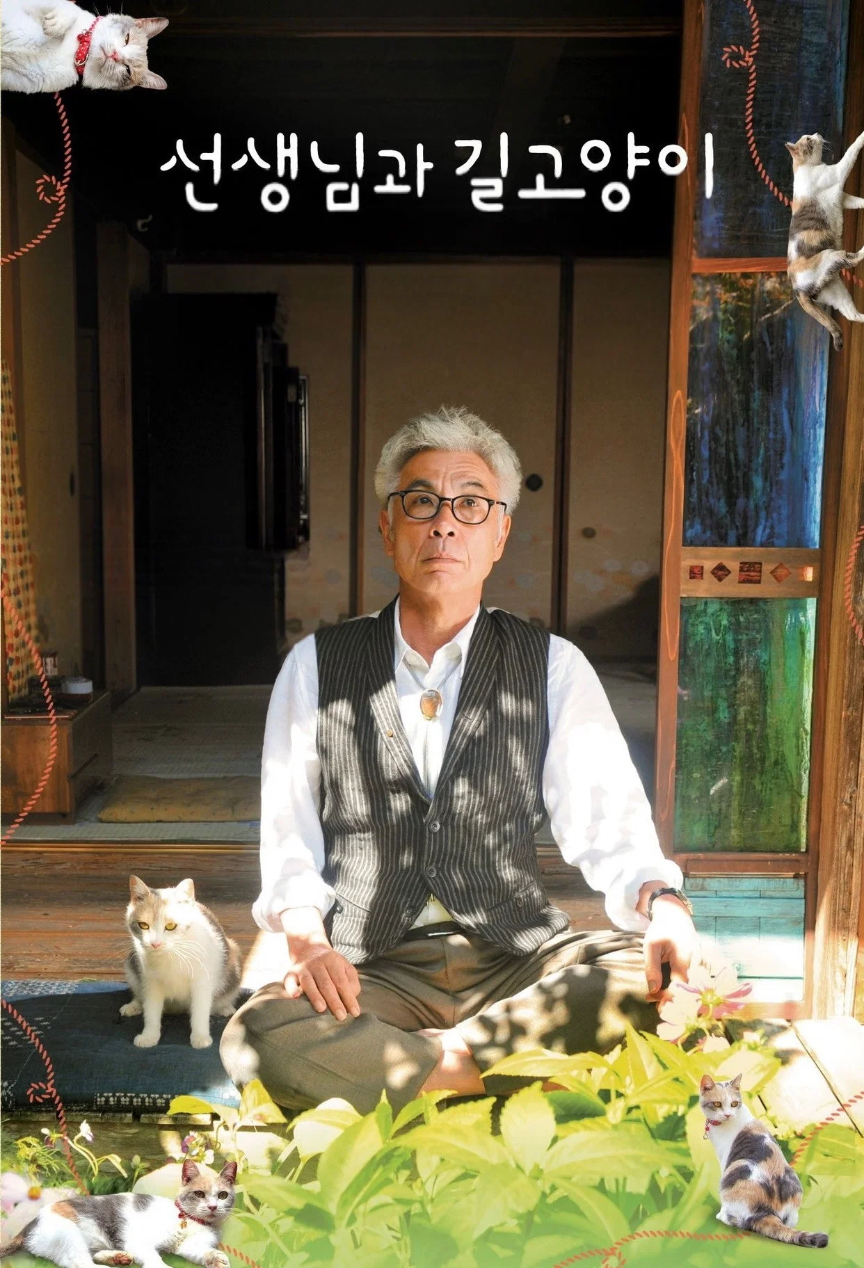 老师与流浪猫