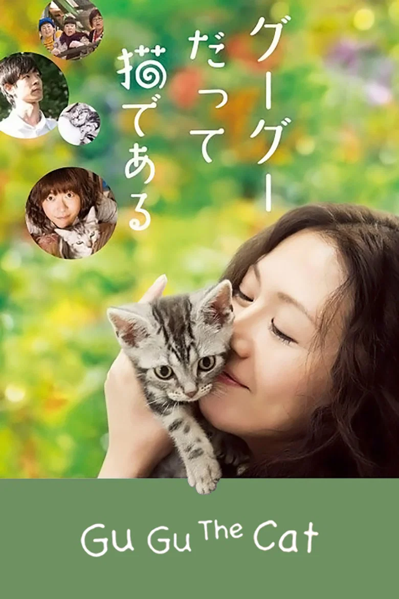 咕咕是一只猫