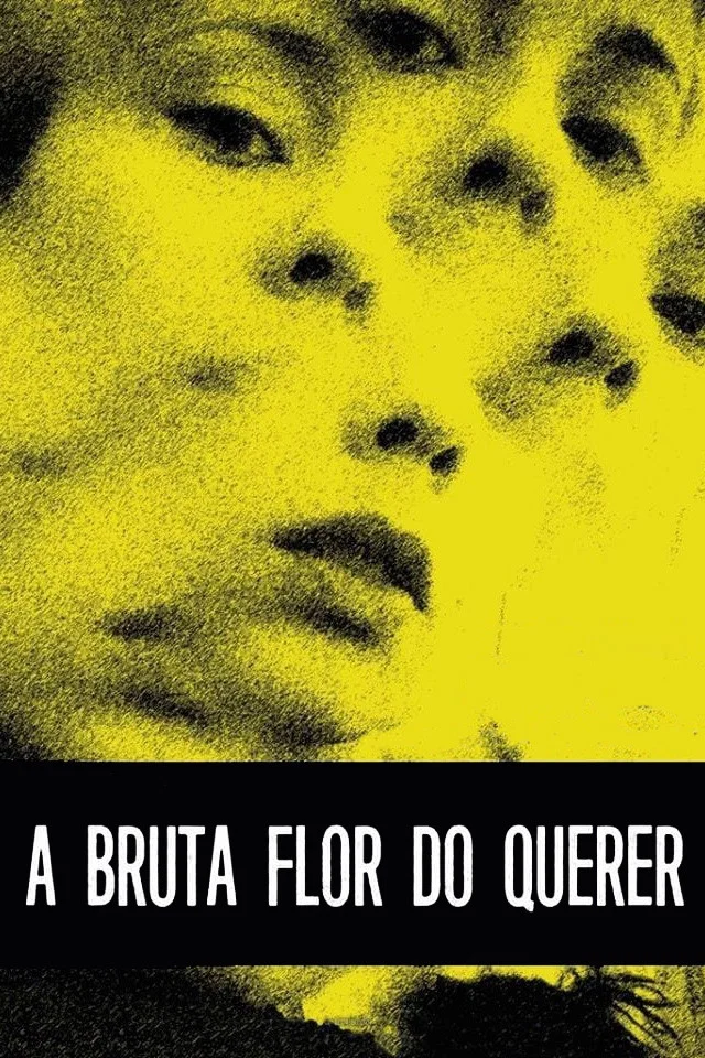 A Bruta Flor do Querer