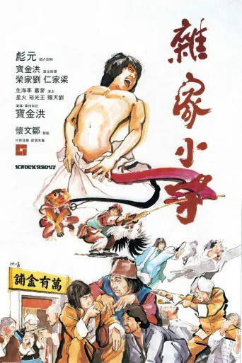 杂家小子