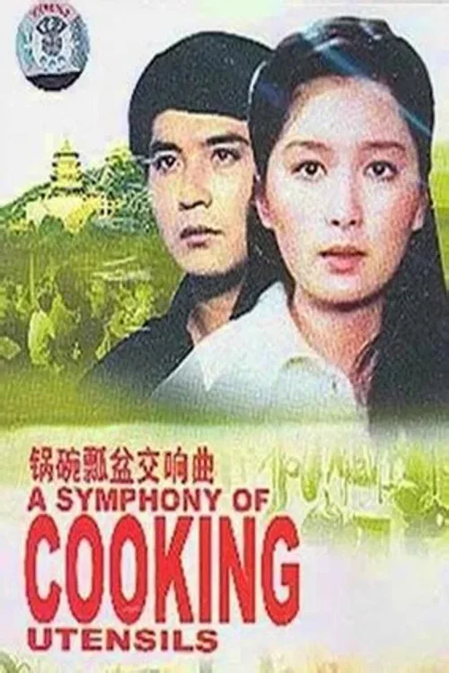 锅碗瓢盆交响曲