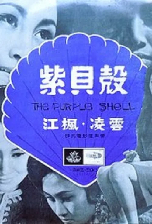 紫贝壳