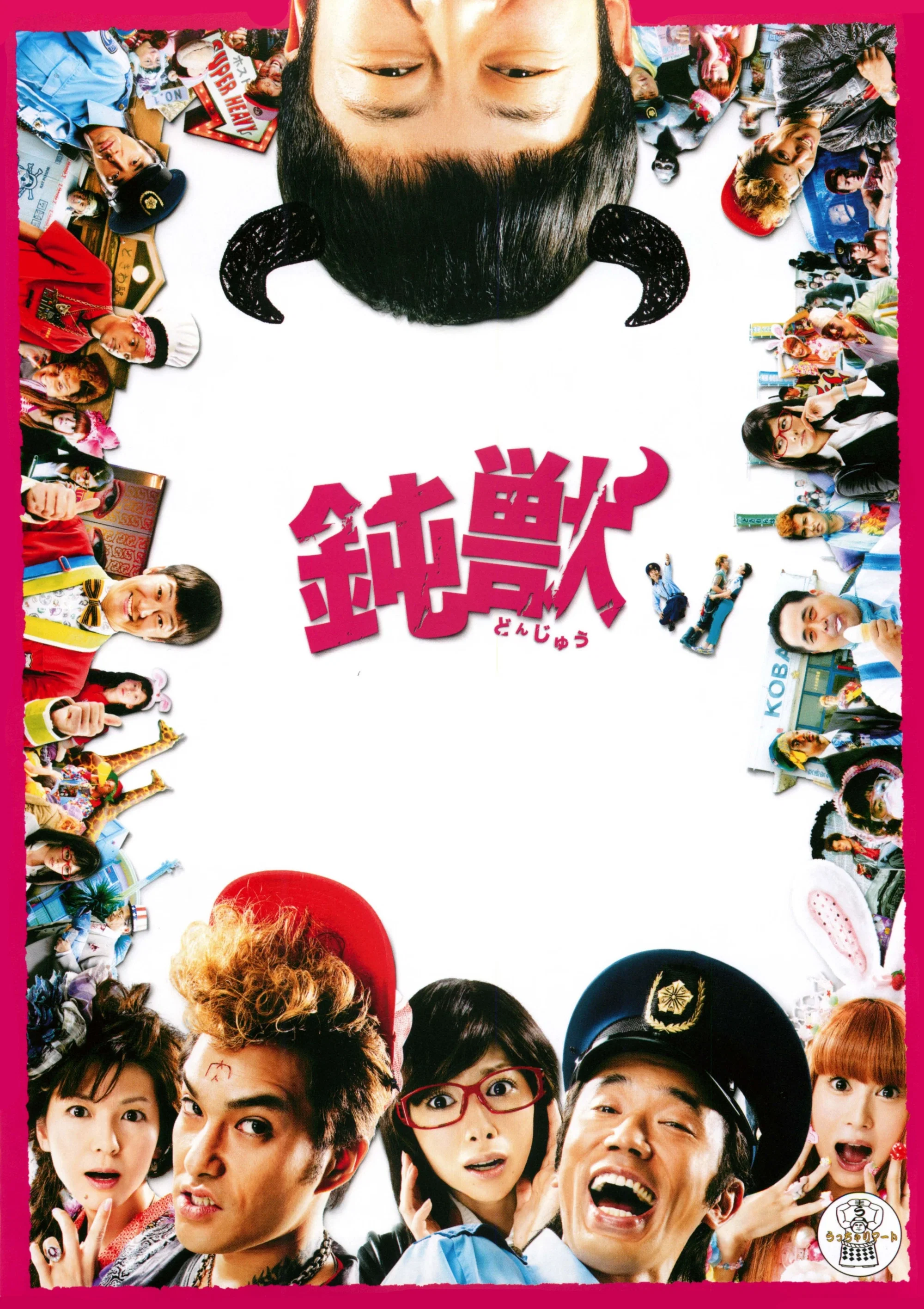 钝兽