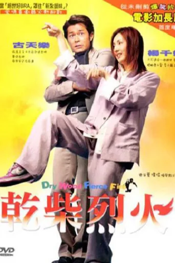 干柴烈火
