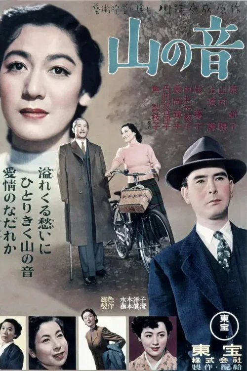 山之音