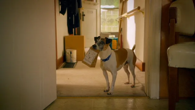 夺宝猎犬 剧照 1