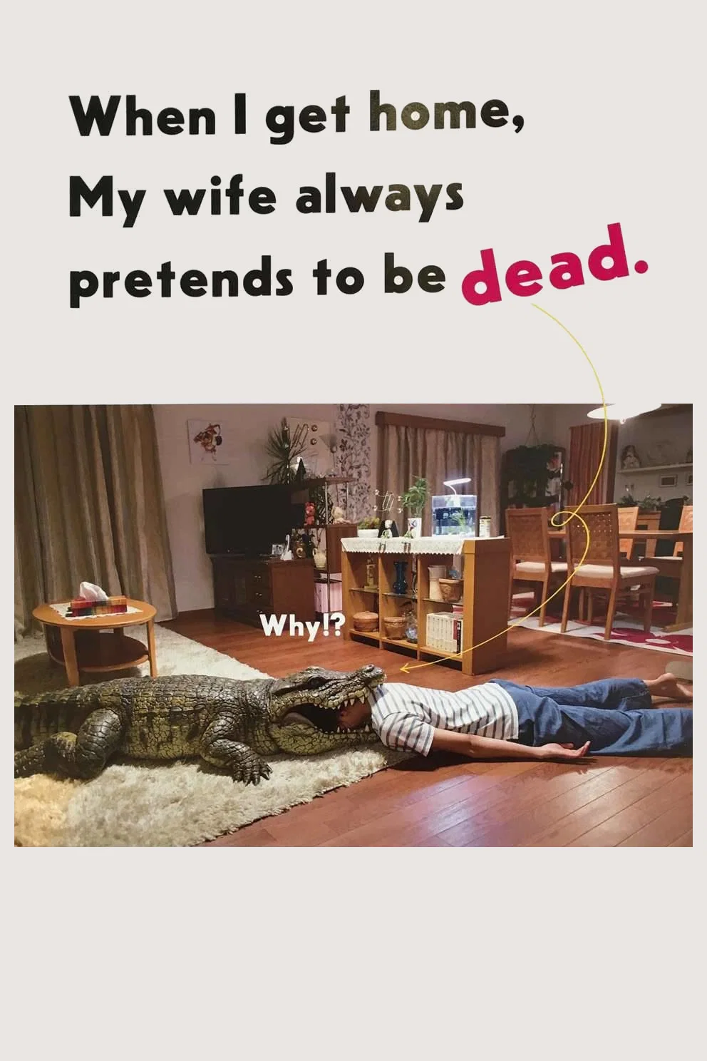 每天回家都会看到老婆在装死
