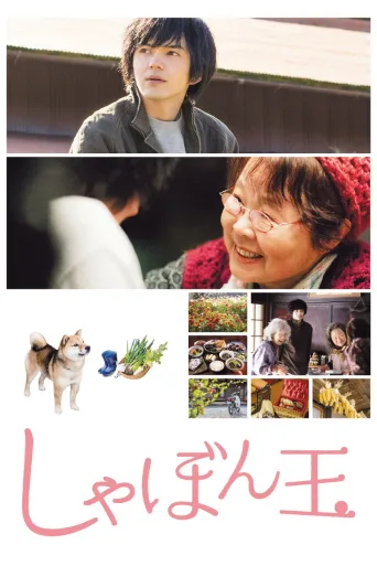 肥皂泡