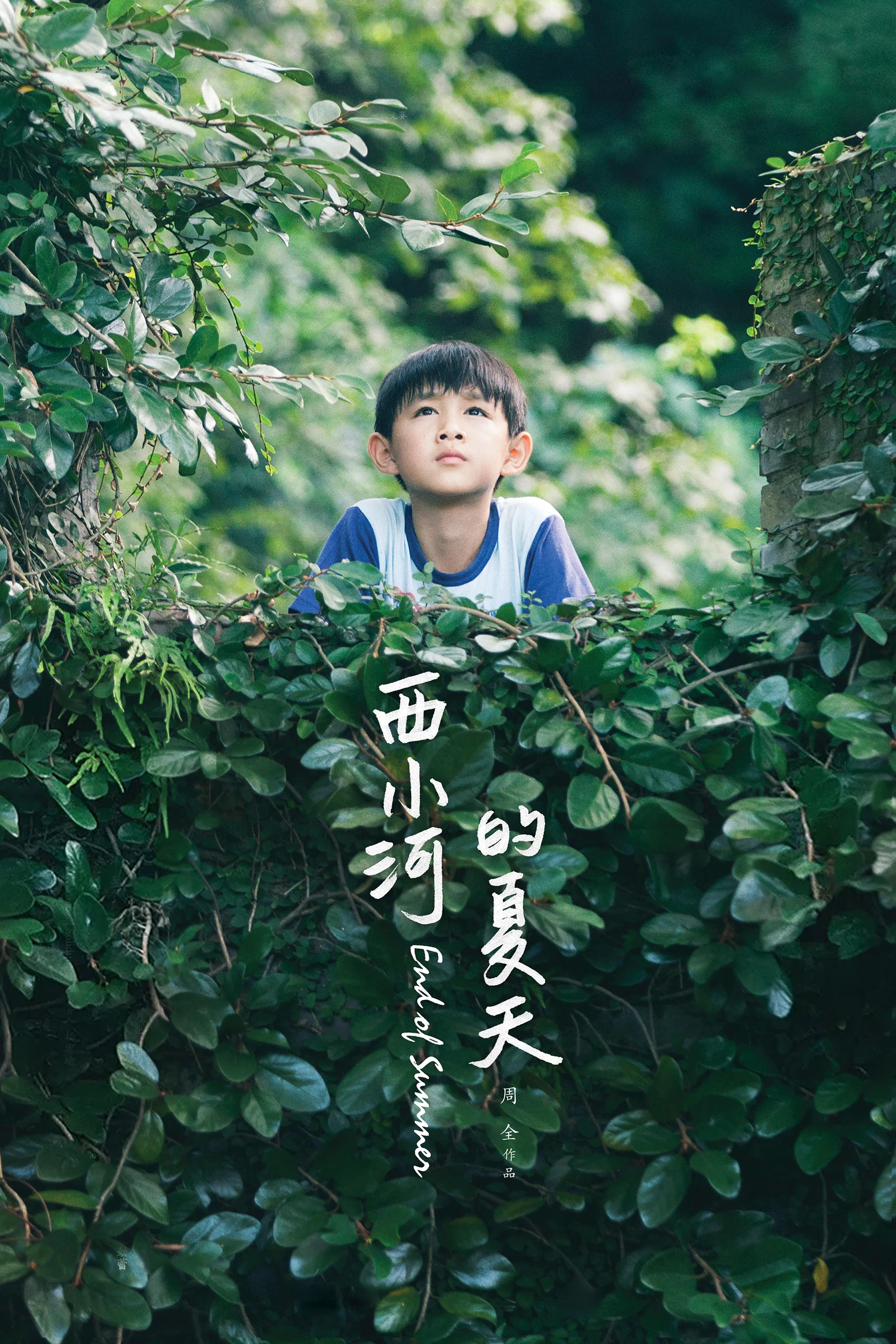 西小河的夏天
