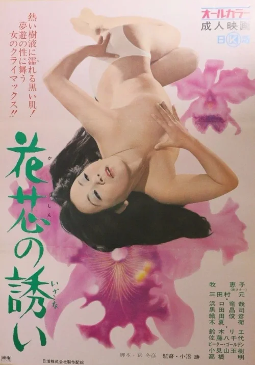 花芯的诱惑