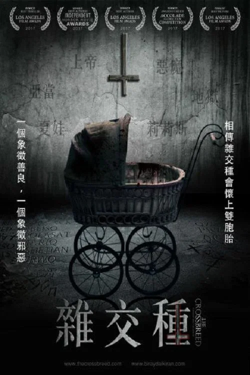 杂交种