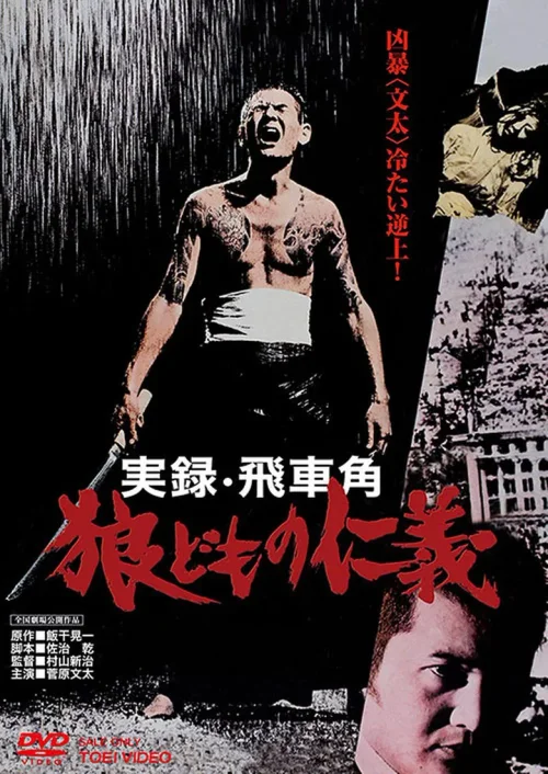 实录飞车角 众狼的仁义