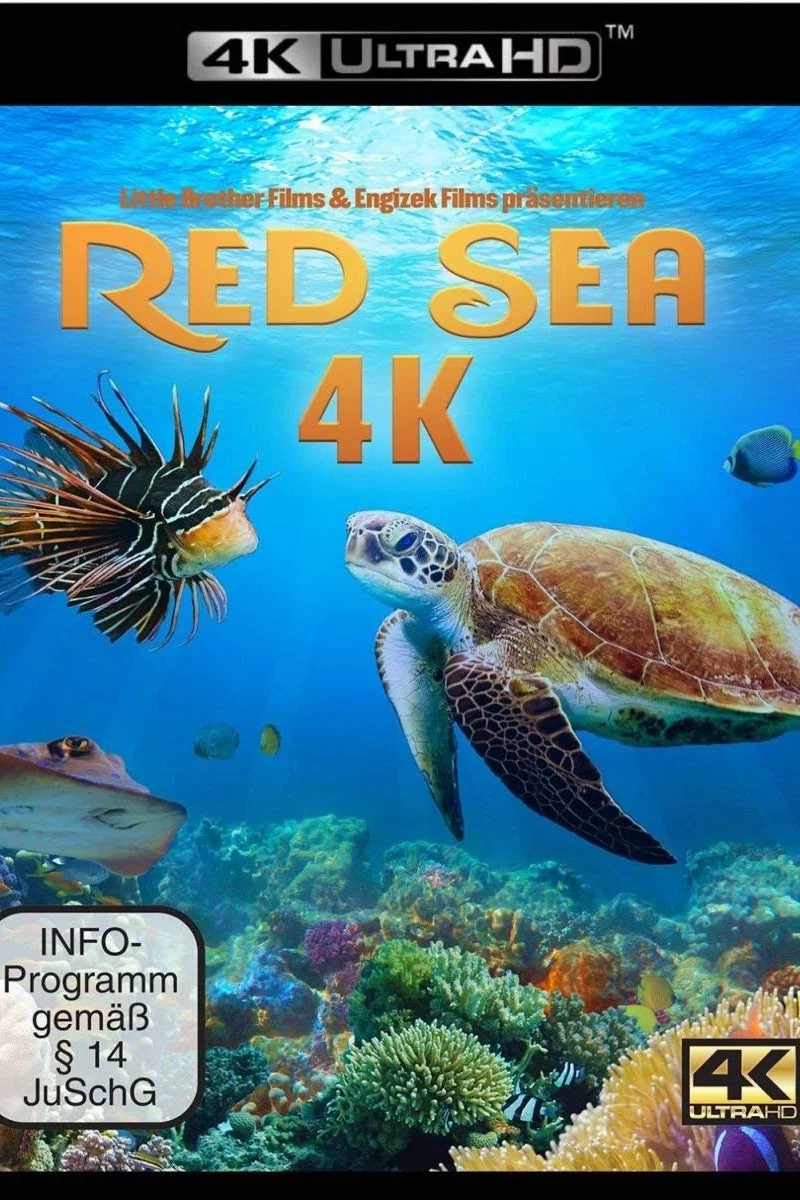 海底风光