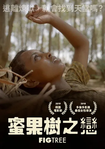 无花果之树