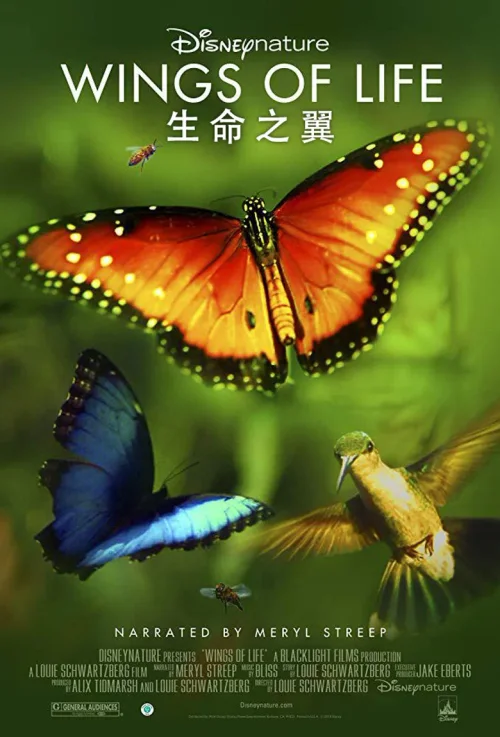 生命之翼