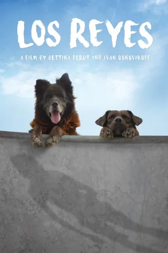 犬犬风尘
