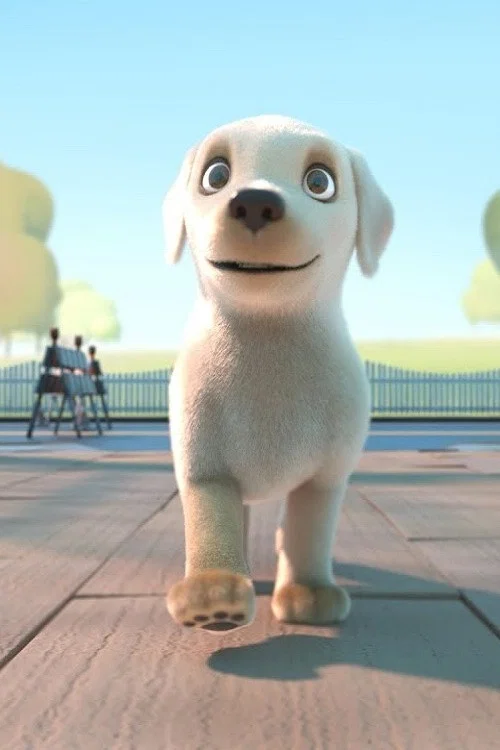导盲犬小P