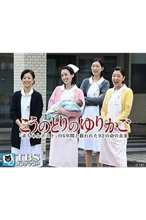 鹳鸟摇篮：“弃婴保护舱”六年中拯救的92条生命的未来