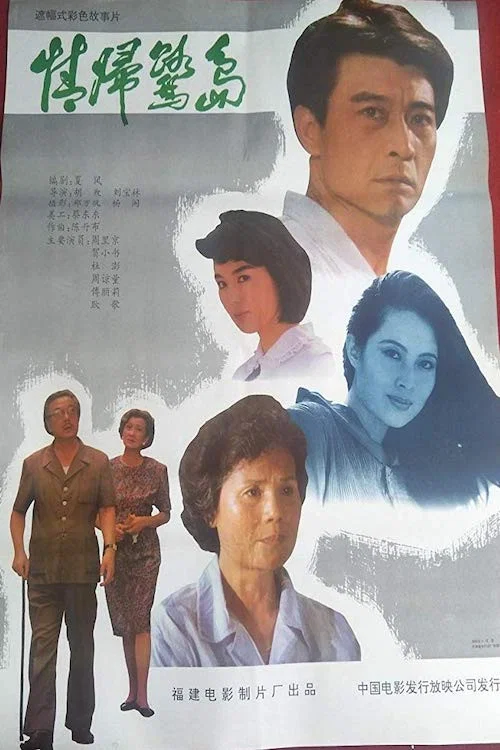情归鹭岛