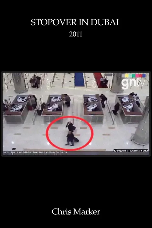 迪拜中转站
