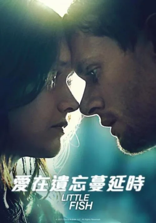 小鱼