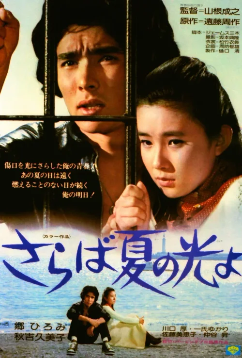 再见，夏日之光